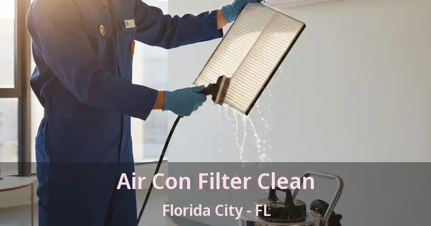 Air Con Filter Clean Florida City - FL
