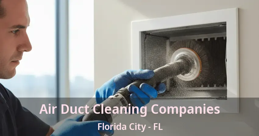 Air Duct Cleaning Companies Florida City - FL Air Duct Cleaning Companies Florida City - FL