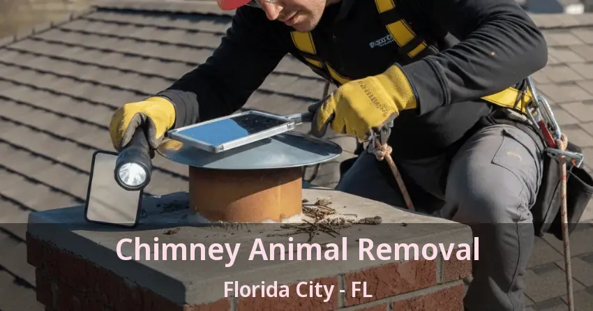 Chimney Animal Removal Florida City - FL
