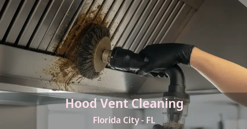 Hood Vent Cleaning Florida City - FL