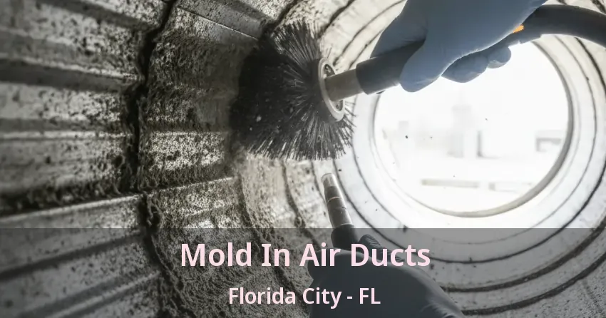 Mold In Air Ducts Florida City - FL
