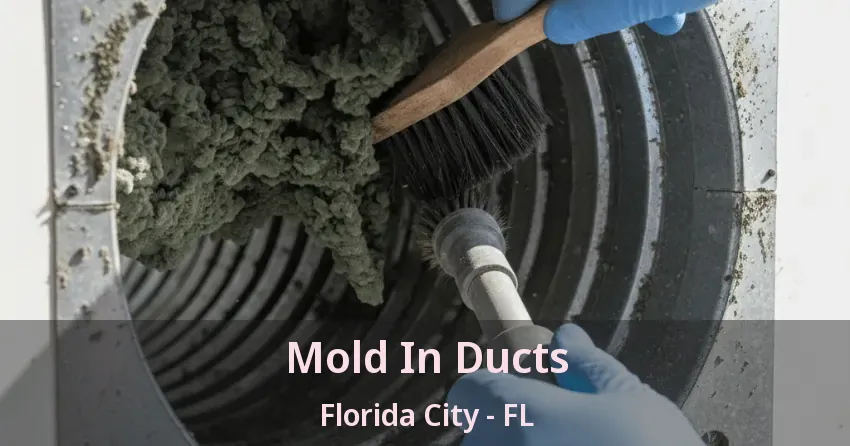 Mold In Ducts Florida City - FL